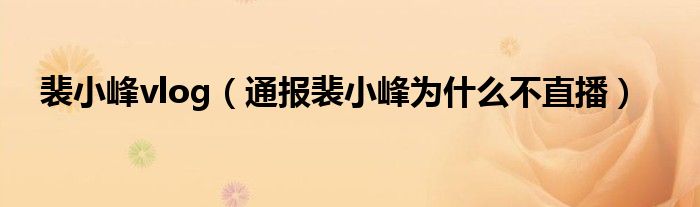 裴小峰vlog(通报裴小峰为什么不直播)