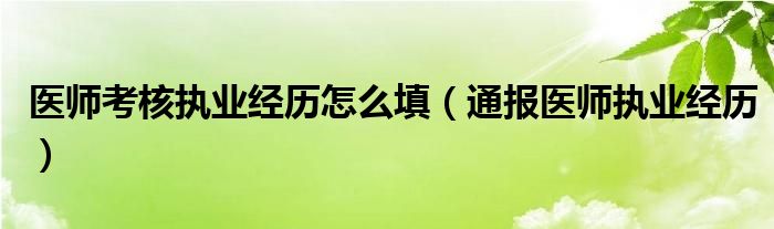 医师考核执业经历怎么填(通报医师执业经历)