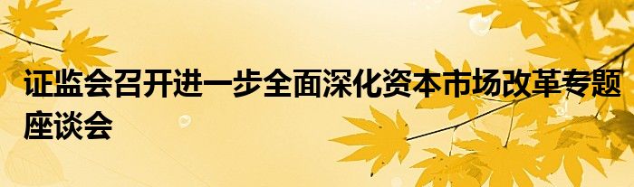 证监会召开进一步全面深化资本市场改革专题座谈会
