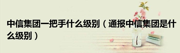 中信集团一把手什么级别(通报中信集团是什么级别)