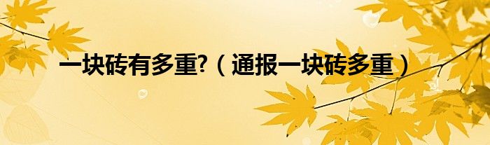 一块砖有多重?(通报一块砖多重)