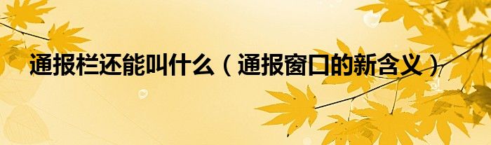 通报栏还能叫什么(通报窗口的新含义)