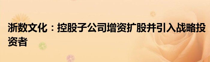 浙数文化:控股子公司增资扩股并引入战略投资者