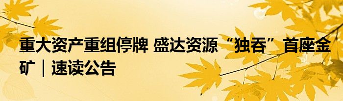 重大资产重组停牌 盛达资源“独吞”首座金矿|速读公告