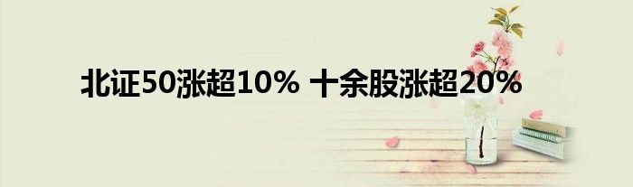 北证50涨超10% 十余股涨超20%