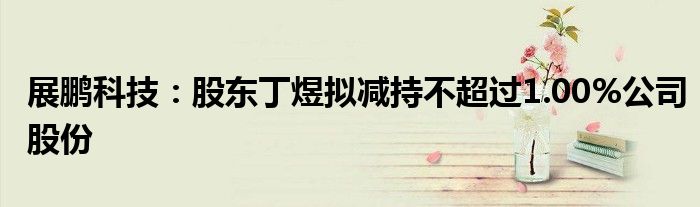 展鹏科技：股东丁煜拟减持不超过1.00%公司股份