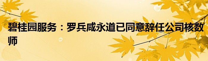 碧桂园服务:罗兵咸永道已同意辞任公司核数师