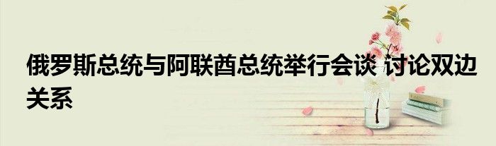 俄罗斯总统与阿联酋总统举行会谈 讨论双边关系