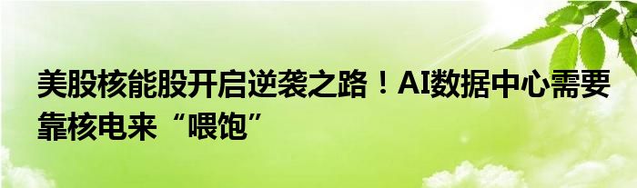 美股核能股开启逆袭之路!AI数据中心需要靠核电来“喂饱”