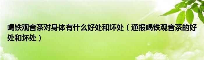 喝铁观音茶对身体有什么好处和坏处(通报喝铁观音茶的好处和坏处)