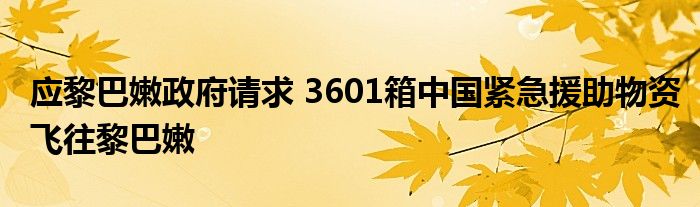 应黎巴嫩政府请求 3601箱中国紧急援助物资飞往黎巴嫩