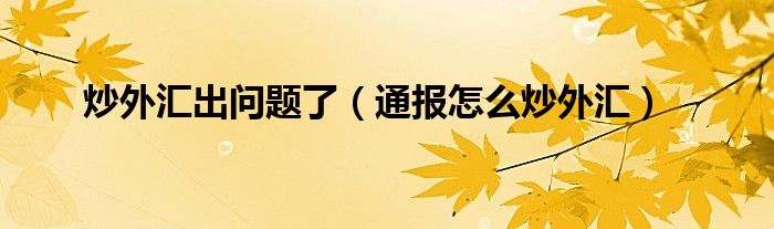 炒外汇出问题了(通报怎么炒外汇)
