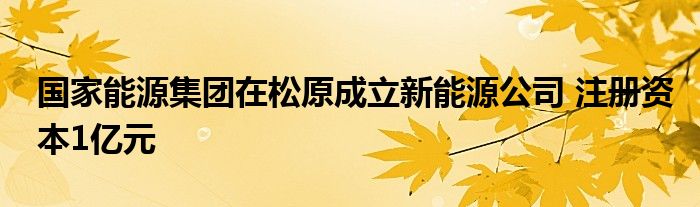 国家能源集团在松原成立新能源公司 注册资本1亿元