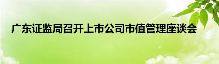 广东证监局召开上市公司市值管理座谈会
