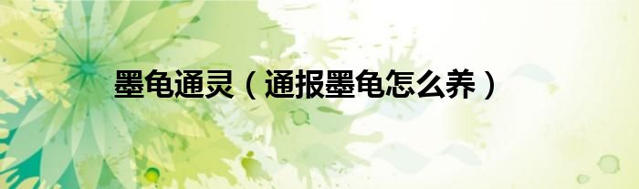 墨龟通灵(通报墨龟怎么养)