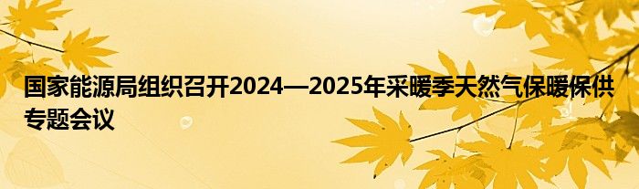 国家能源局组织召开2024—2025年采暖季天然气保暖保供专题会议