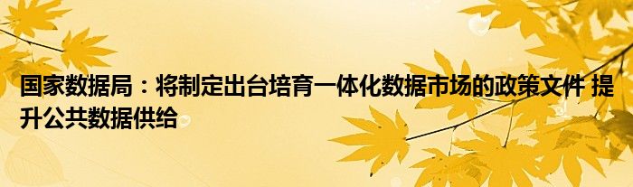 国家数据局:将制定出台培育一体化数据市场的政策文件 提升公共数据供给