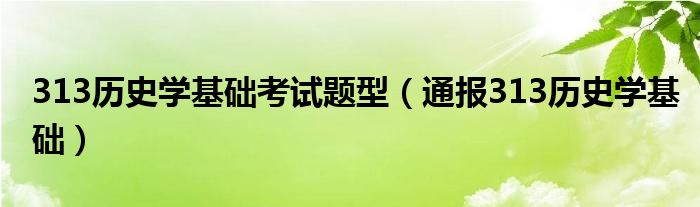 313历史学基础考试题型(通报313历史学基础)