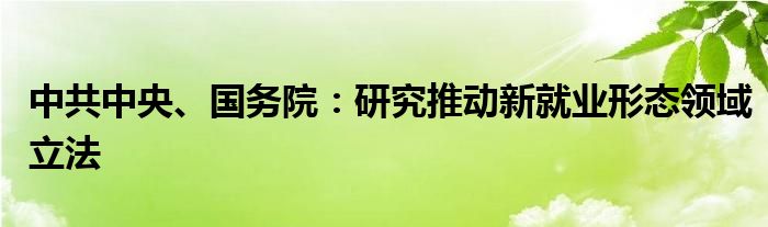 中共中央、国务院：研究推动新就业形态领域立法