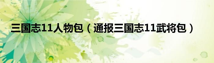 三国志11人物包(通报三国志11武将包)