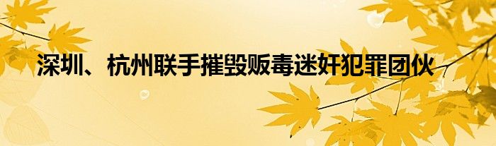 深圳、杭州联手摧毁贩毒迷奸犯罪团伙
