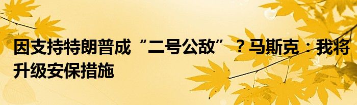 因支持特朗普成“二号公敌”?马斯克:我将升级安保措施