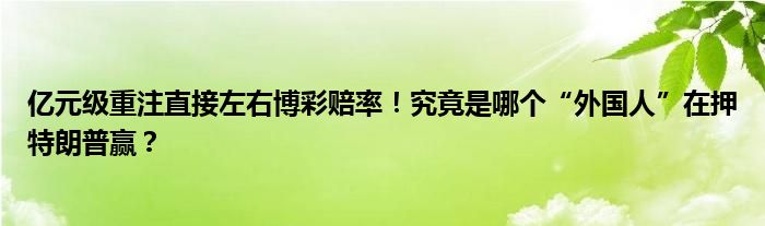 亿元级重注直接左右博彩赔率!究竟是哪个“外国人”在押特朗普赢?