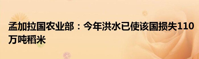 孟加拉国农业部:今年洪水已使该国损失110万吨稻米