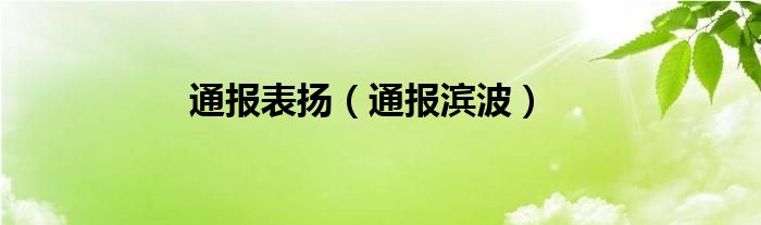 通报表扬(通报滨波)
