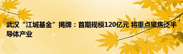 武汉“江城基金”揭牌:首期规模120亿元 将重点聚焦泛半导体产业
