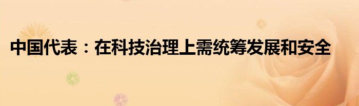 中国代表:在科技治理上需统筹发展和安全