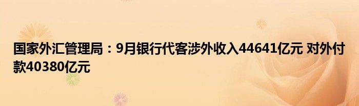 国家外汇管理局:9月银行代客涉外收入44641亿元 对外付款40380亿元