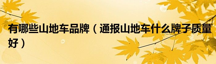 有哪些山地车品牌(通报山地车什么牌子质量好)