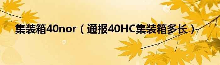 集装箱40nor(通报40HC集装箱多长)