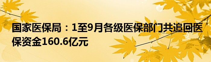 国家医保局:1至9月各级医保部门共追回医保资金160.6亿元