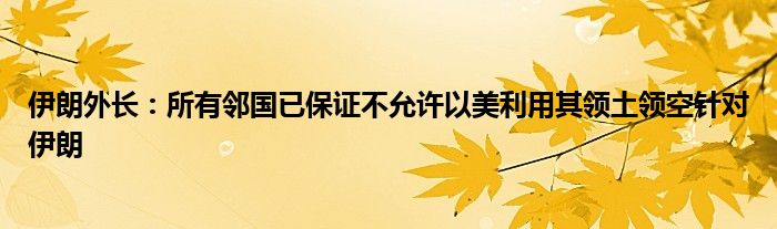 伊朗外长:所有邻国已保证不允许以美利用其领土领空针对伊朗