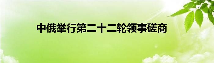 中俄举行第二十二轮领事磋商