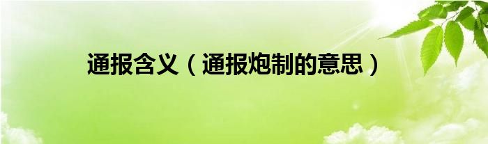 通报含义（通报炮制的意思）