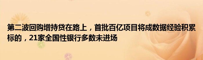 第二波回购增持贷在路上,首批百亿项目将成数据经验积累标的,21家全国性银行多数未进场
