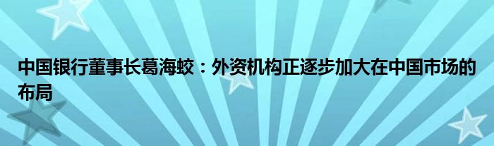 中国银行董事长葛海蛟:外资机构正逐步加大在中国市场的布局