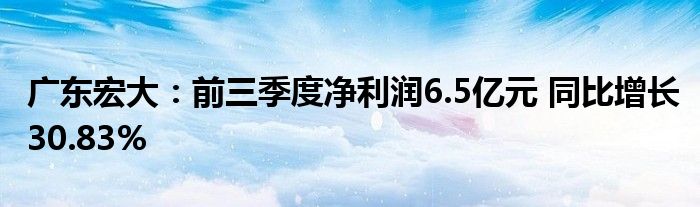 广东宏大:前三季度净利润6.5亿元 同比增长30.83%