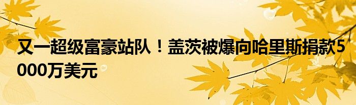 又一超级富豪站队!盖茨被爆向哈里斯捐款5000万美元