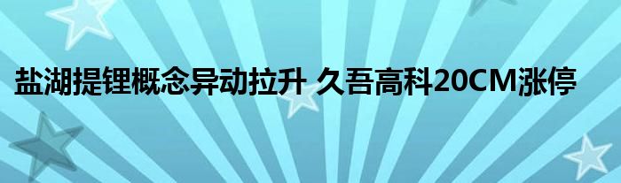 盐湖提锂概念异动拉升 久吾高科20CM涨停