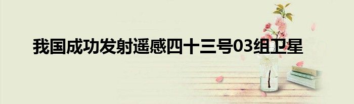 我国成功发射遥感四十三号03组卫星