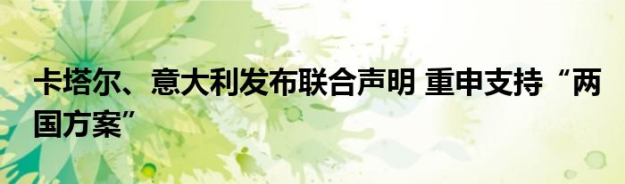 卡塔尔、意大利发布联合声明 重申支持“两国方案”
