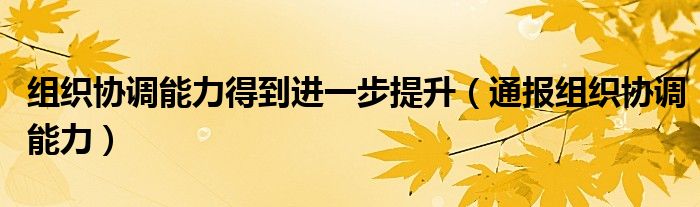 组织协调能力得到进一步提升(通报组织协调能力)
