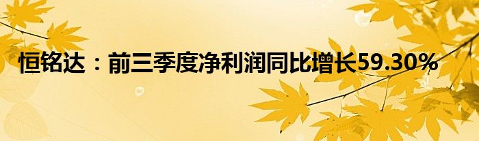 恒铭达:前三季度净利润同比增长59.30%
