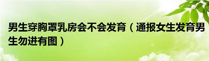 男生穿胸罩乳房会不会发育(通报女生发育男生勿进有图)