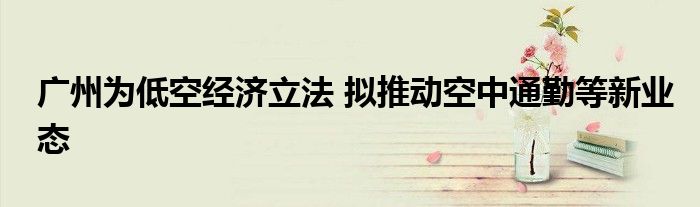 广州为低空经济立法 拟推动空中通勤等新业态