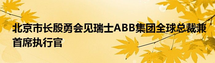 北京市长殷勇会见瑞士ABB集团全球总裁兼首席执行官